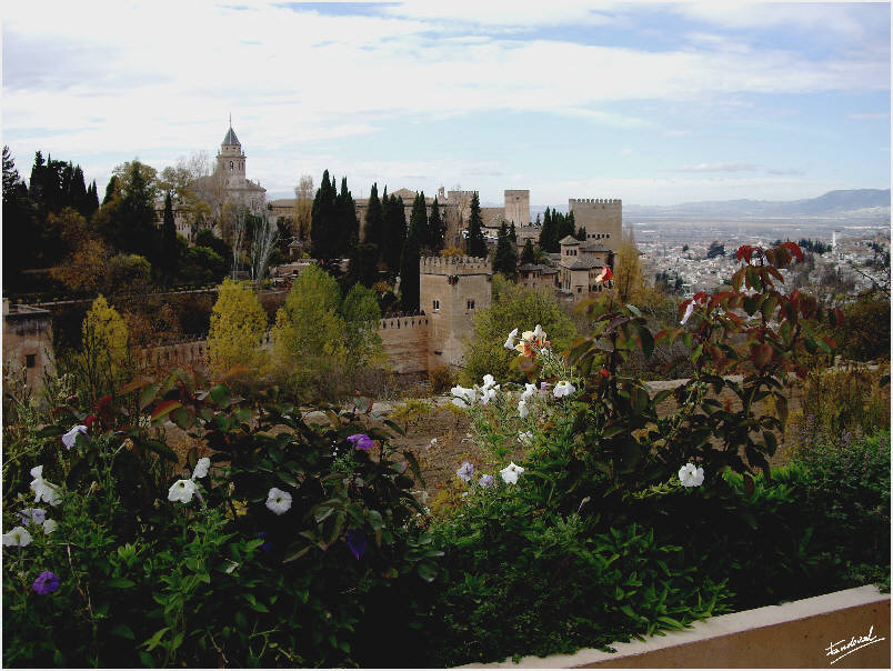 Vista de La Alhambra desde los Jardines del Generalife