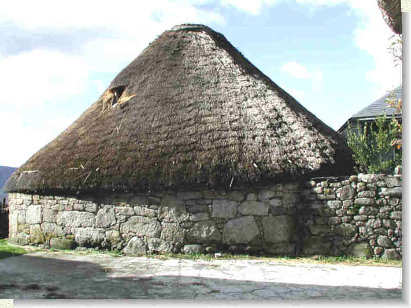 A well-preserved palloza in Piornedo