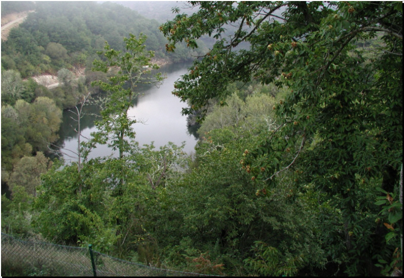 View of the river Sil from Casa dos Castieiros.